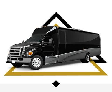 Black Executive Mini Coach